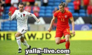 وصول جاريث بيل ينعش قرعة ويلز مع البانيا في مباراة ودية